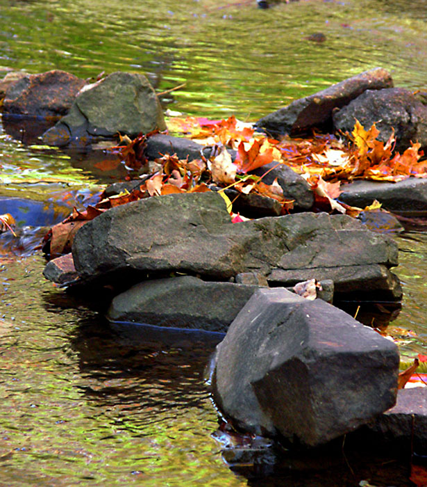Rocks