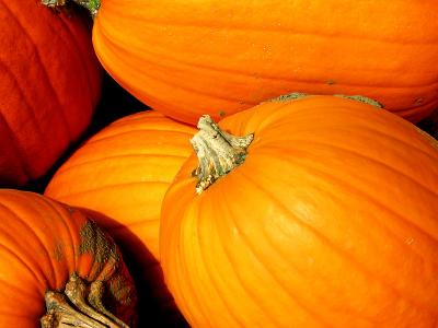 Pumpkins