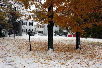 Front Yard Snow
