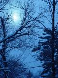 DSC04989.JPG
