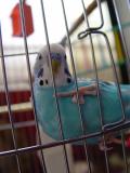 DSC06020.JPG