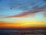 DSC06397.jpg