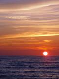 DSC06430.jpg