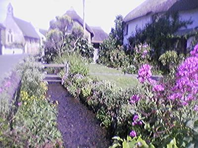 Thatched cottage in Croyde