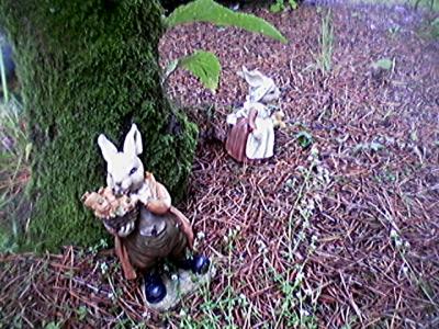 You never know what you'll find while walking round the garden!