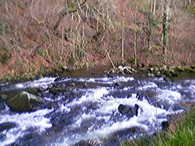 Exmoor Stream
