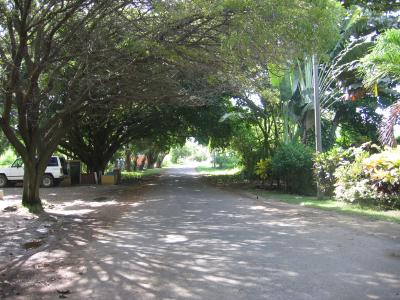 Walking to the beach that has the shops to buy Harley shirts and necklaces