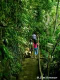Tinago Falls Trail