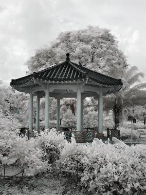 Yunnan Garden