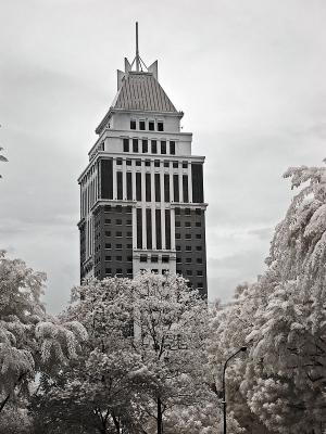 Orchard Parksuites