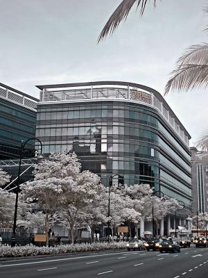 The Atrium