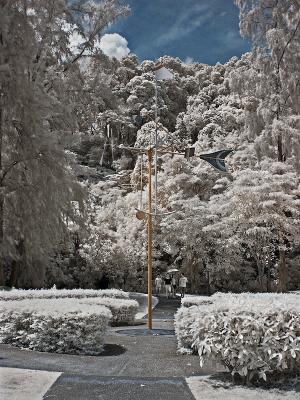 'Wonders of the Wind' Mobile
