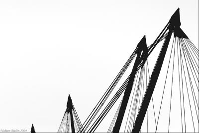 Harp