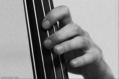 v3/43/471043/3/46163557.Contrabass_3219_BW_Grain.jpg
