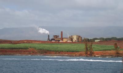 Sugar cane factory