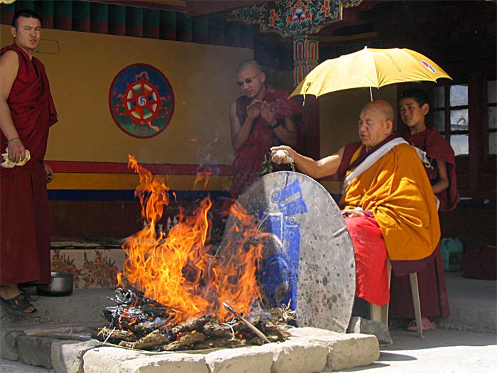 Spitok Lama,s