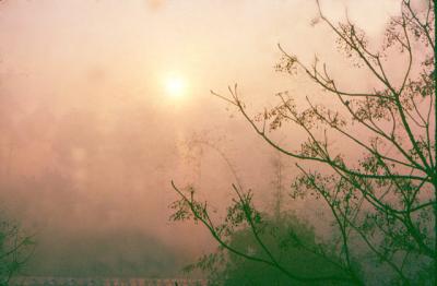 Vashisht misty dawn
