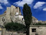 Leh Palace from Karzoo