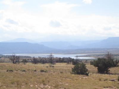 IMG0055.JPG
