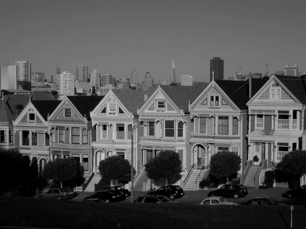 steiner st - b&w