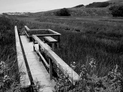 observation deck