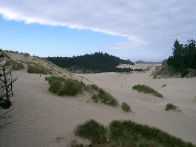 early morning - oregon dunes nat'l park