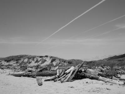 driftwood & contrails