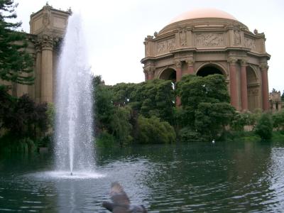 fountain - palace of fine arts