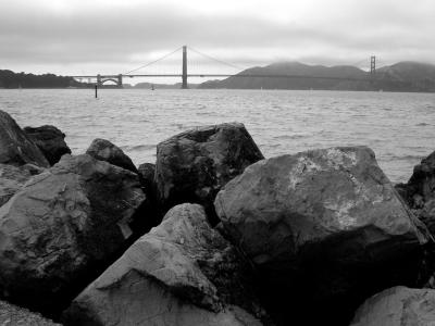 from crissy field