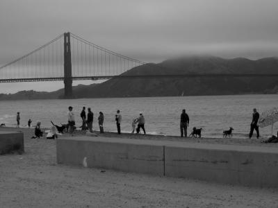 san francisco bay from crissy field beach
