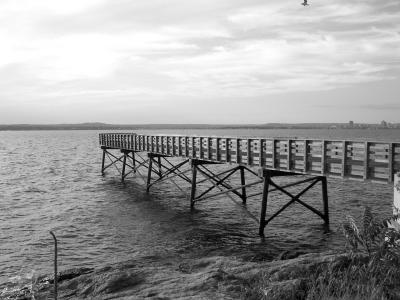 fishing pier / new haven harbor