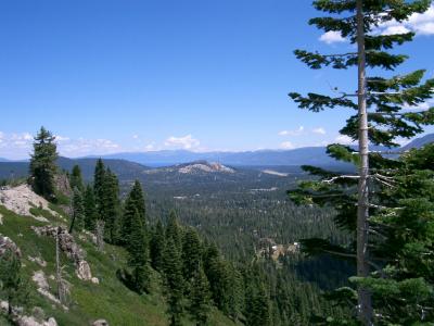 tahoe's view