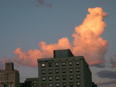 last nite's cloud