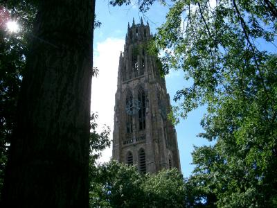 yale campus6