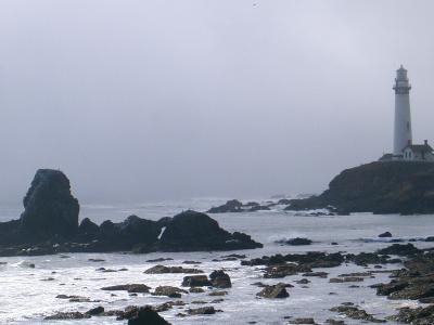 from the south cove