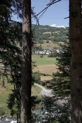 Horft  gegnum skginn