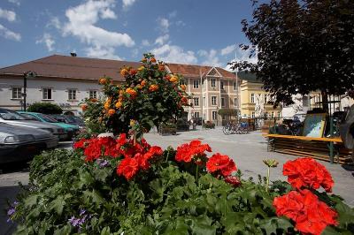 Aaltorgi  Murau