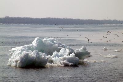 Ice Flow-Volga River