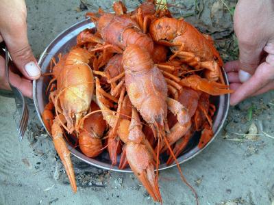 Don River-Crawfish cooked