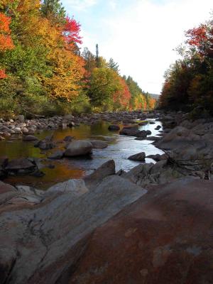 Fall along stream to Coos Canyon Maine.jpg