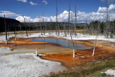 Opalescent poolYellowstone.jpg