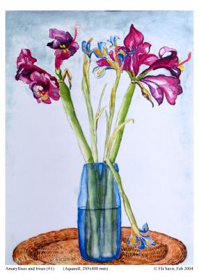 Amaryllises and Irises (1)
