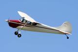 Cessna 170B N2363D