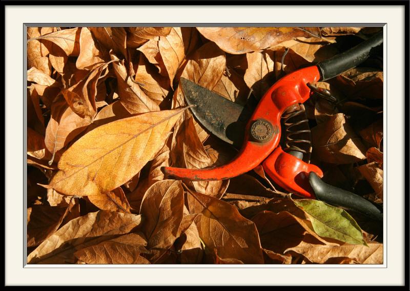 Automne