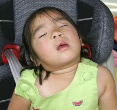 Tired after a busy day at the zoo.