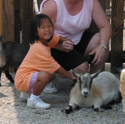 Petting a goat