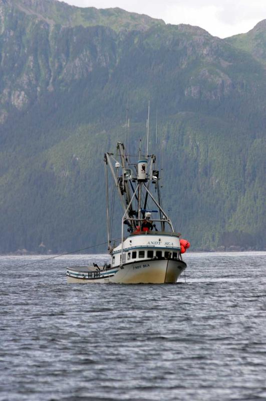 The Great Alaska King Salmon and Halibut Adventure