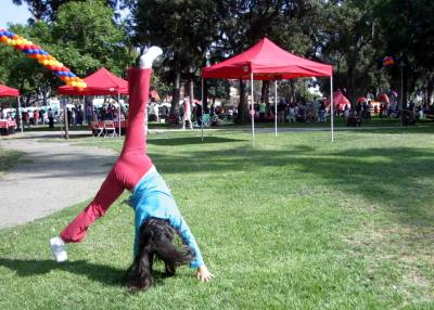 A Great Afternoon in Pasadena