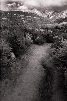 IR Creek Trail