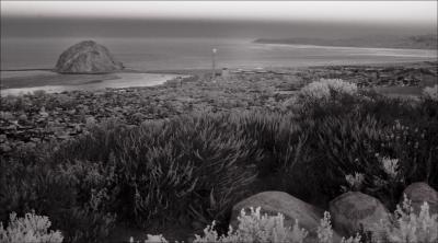 Morro Rock and Wannabees